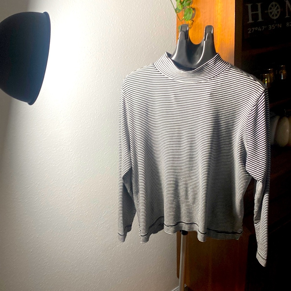 Westbound mod turtleneck striped long sleeve
